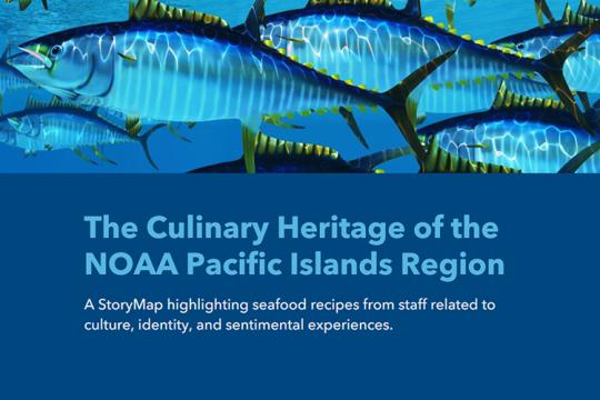 Screen shot of Story Map banner/landing page with big eye tuna in the background.