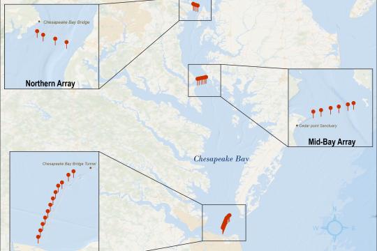 Map of three arrays of acoustic telemetry receivers in the Chesapeake Bay