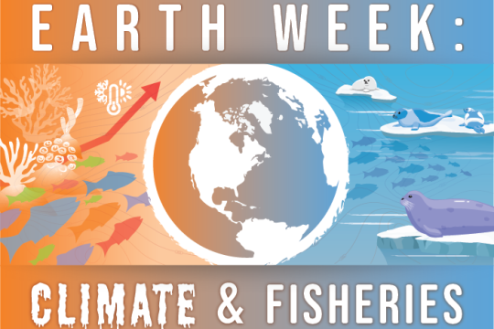 Graphic with image of Earth in the center and corals, seals, and fish with the rise of temperatures to illustrate climate change