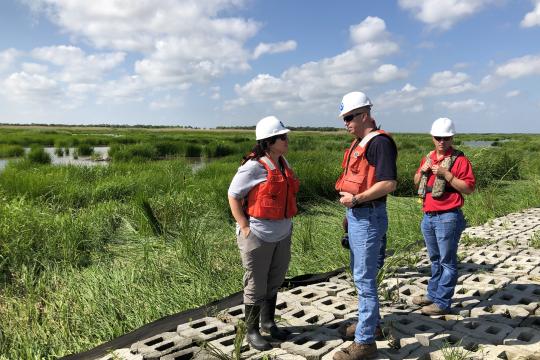 NOAA Fisheries staff in the field at a restoration project site in Louisiana