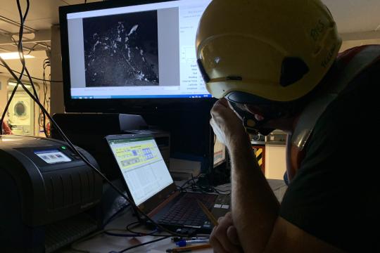 Scientist leans forward over a desk to look closer at a TV mounted on the wall showing rock with hydrocoral and a rockfish swimming.
