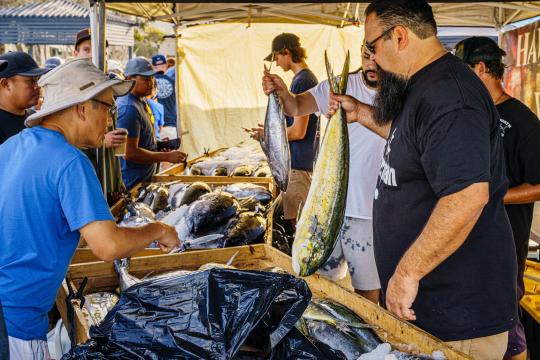 Customers point to whole fish on ice while fishmongers hold up a tuna and a mahi at an outdoor seafood market.
