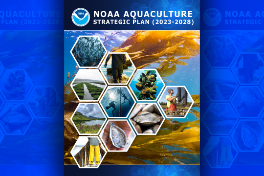 NOAA Aquaculture Strategic Plan (2022) report cover. A montage of aquaculture photos: Kampachi swimming, Ulva on oyster bags, Alakoko Fishpond (Hawai’i), net pen aquaculture, oyster farmers at work, raw oysters, mussel longlines, a hand holding bay scallops, and hard shell clams.