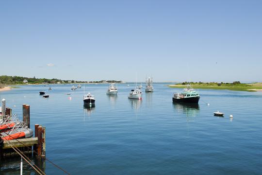 Moored fishing vessels in a calm harbor.