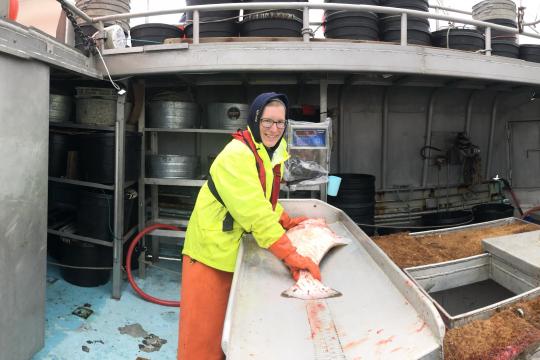 A woman in bright orange and yellow gear measures a large fish on the deck of a fishing vessel.