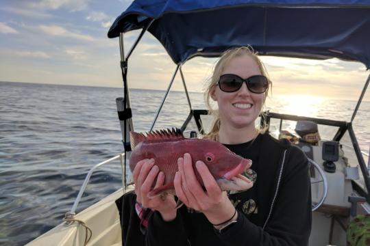Blonde, female white angler holds a California Sheephead fish while on a boat.