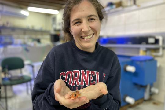 A woman in a dark blue sweater holds a small orange fish in her open palms.