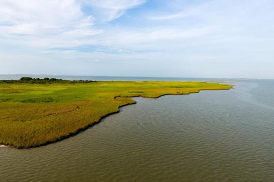 A birds-eye view of an expanse of dark green water in the foreground with a bright green marsh in the mid-ground and a blue sky above