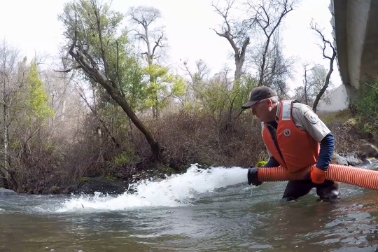 A white man in khaki and hip waders holds a large tube, through which salmon and water is shooting into a river.