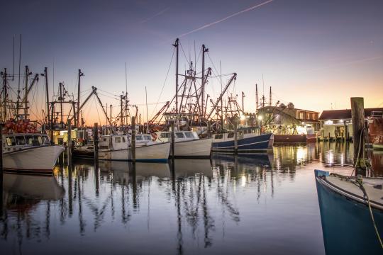 Photo of an east coast fishing port.
