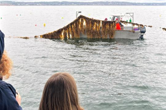 Two people on a boat look out at farmed seaweed being pulled out of the water on a nearby boat.