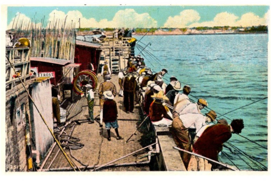 People fishing on barge off of Redondo Beach, California.