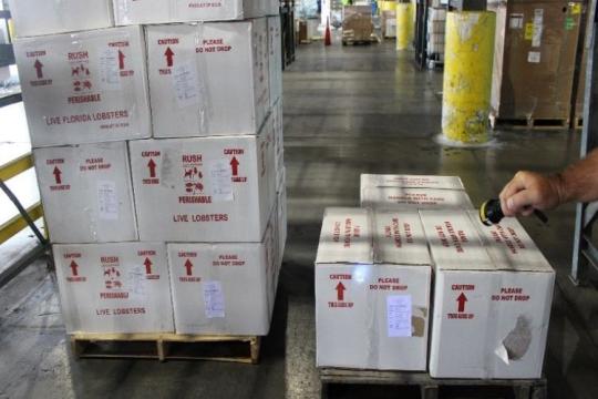 Officers found thousands of pounds of imported lobster that were repackaged into boxes labeled as products of the U.S.A.