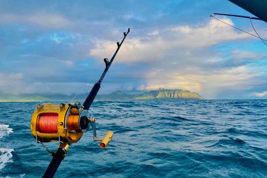 Close up of a fishing rod with a Pacific Island in the background across the water; a rainbow is visible to the right.