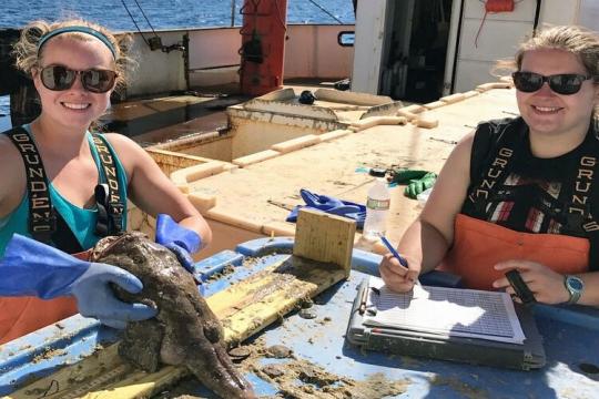 Two researchers examining a monkfish.