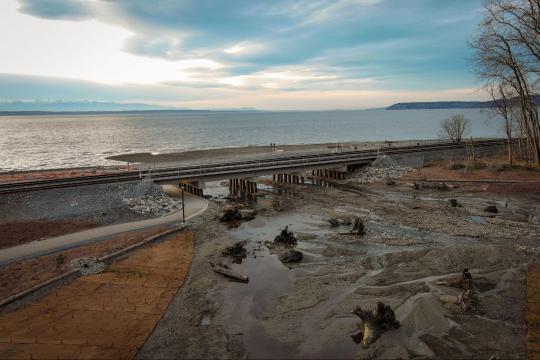 A railroad bridge runs parallel to the shore, with estuary habitat in the foreground and open water in the background