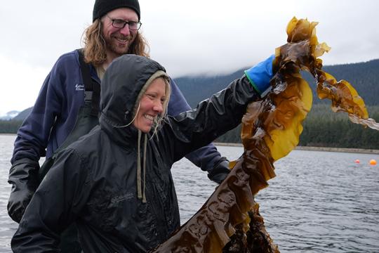 Jonny Antoni and Kaitlyn Tolin of Sea Quester sugar kelp farm outside of Juneau, Alaska. 