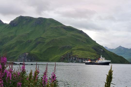fishing boat with mountain in background and purple loosestrife in foreground