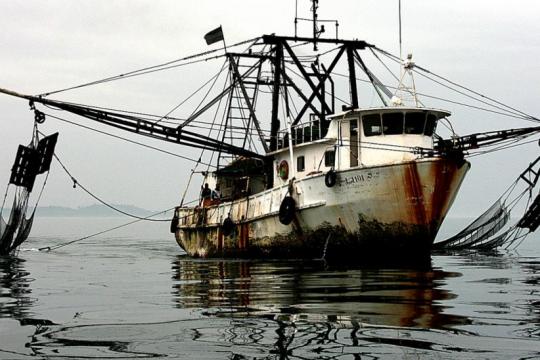Illegal fishing vessel off the coast of Gabon