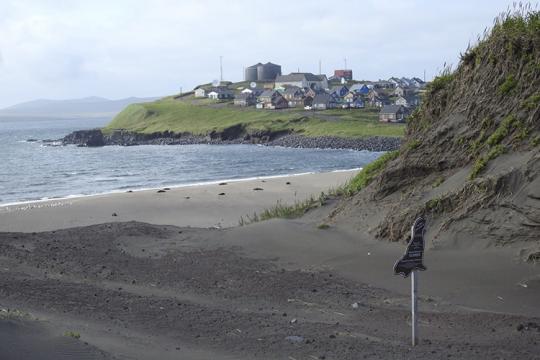 Laaqudan sleeping near the Aleut Community of St. Paul.