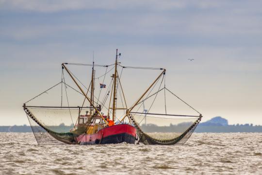 fishing boat