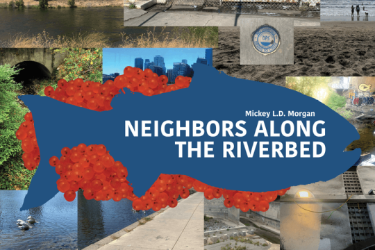Neighbors Along the Riverbed title graphic