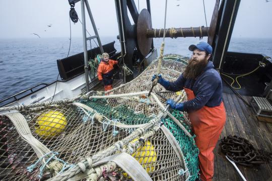 Fishermen aboard a vessel bringing a full fish net aboard