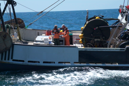 People working aboard survey vessel at sea