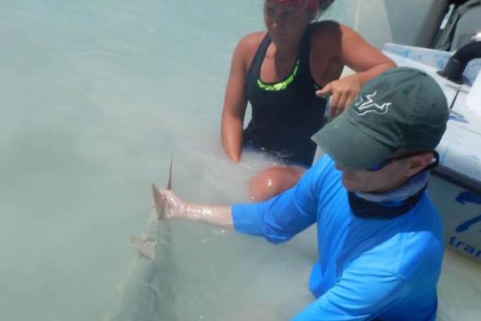 Adam Brame and Sawfish.jpg
