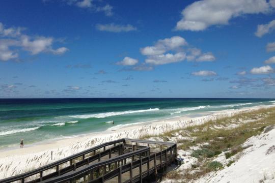 Florida dune restoration deepwater horizon gulf of mexico.jpg