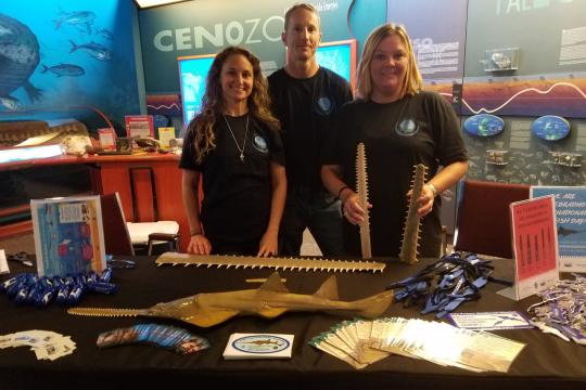 International Sawfish Day 2017.jpg