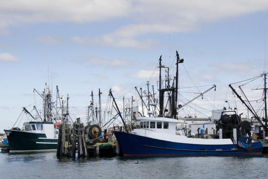 Northeast fishing boats