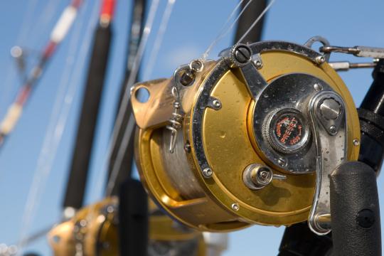 reels_750x500.jpg