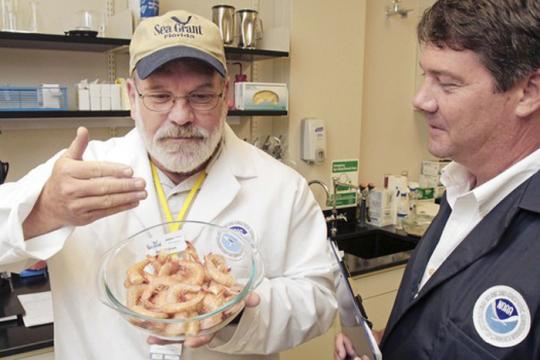 seafood_fraud01.jpg