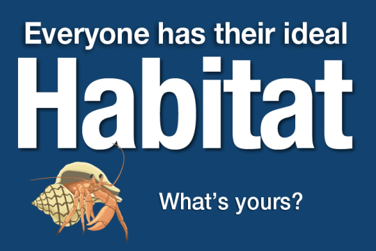 webpage-label2.png