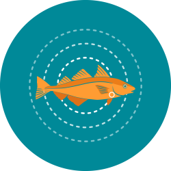 Numbers From Fish (Yearly Averages) | NOAA Fisheries Numbers From Fish (Yearly Averages) | NOAA Fisheries