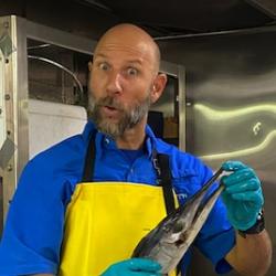 Photo of Ryan Nichols with a juvenile Hebi (shortbill spearfish, Tetrapturus angustirostris).