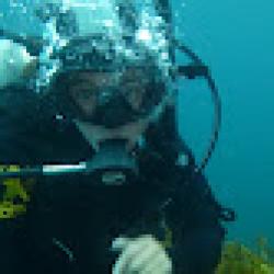 Alix Laferriere in scuba gear underwater