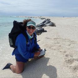 Marylou is sitting on a beach with dozens of turtles in a row behind her