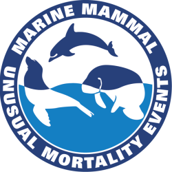 Marine Mammal Unusual Mortality Events | NOAA Fisheries