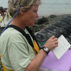 Kate Savage taking notes near a whale carcass