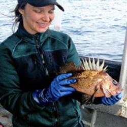 North Pacific Observer Program-bio.jpg