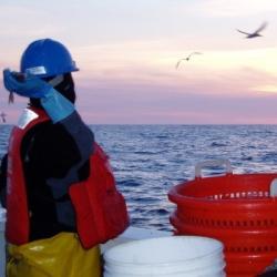 Observer on deck with white buckets and orange baskets at sunset.