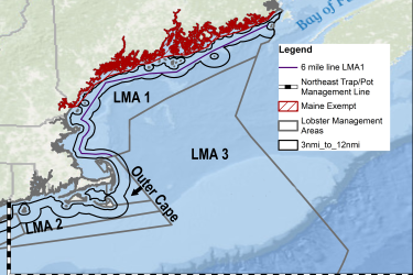 LMAs and regulatory lines
