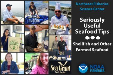 Northeast Fisheries Science Center shellfish and farmed seafood stakeholders and industry partners graphic