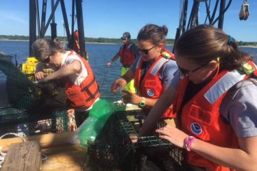 Three female scientists check metal fish traps for fish during field work on a boat in Long Island Sound.