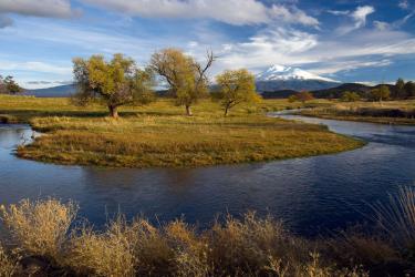 Big Springs Creek with Mount Shasta in the background