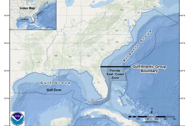 This is a map of cobia migratory group zones in the Gulf of Mexico and South Atlantic Region.