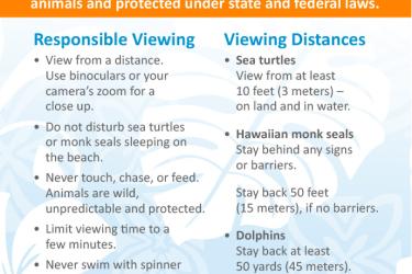 Graphic image with informational viewing guidelines for marine wildlife.