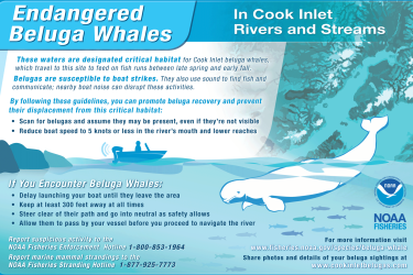 Cook Inlet beluga whale safety sign - smaller